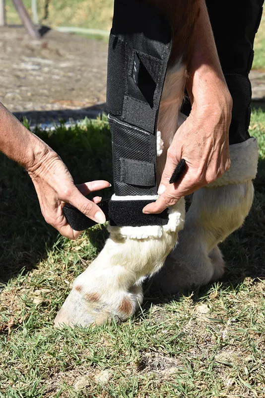 Knee Shield
